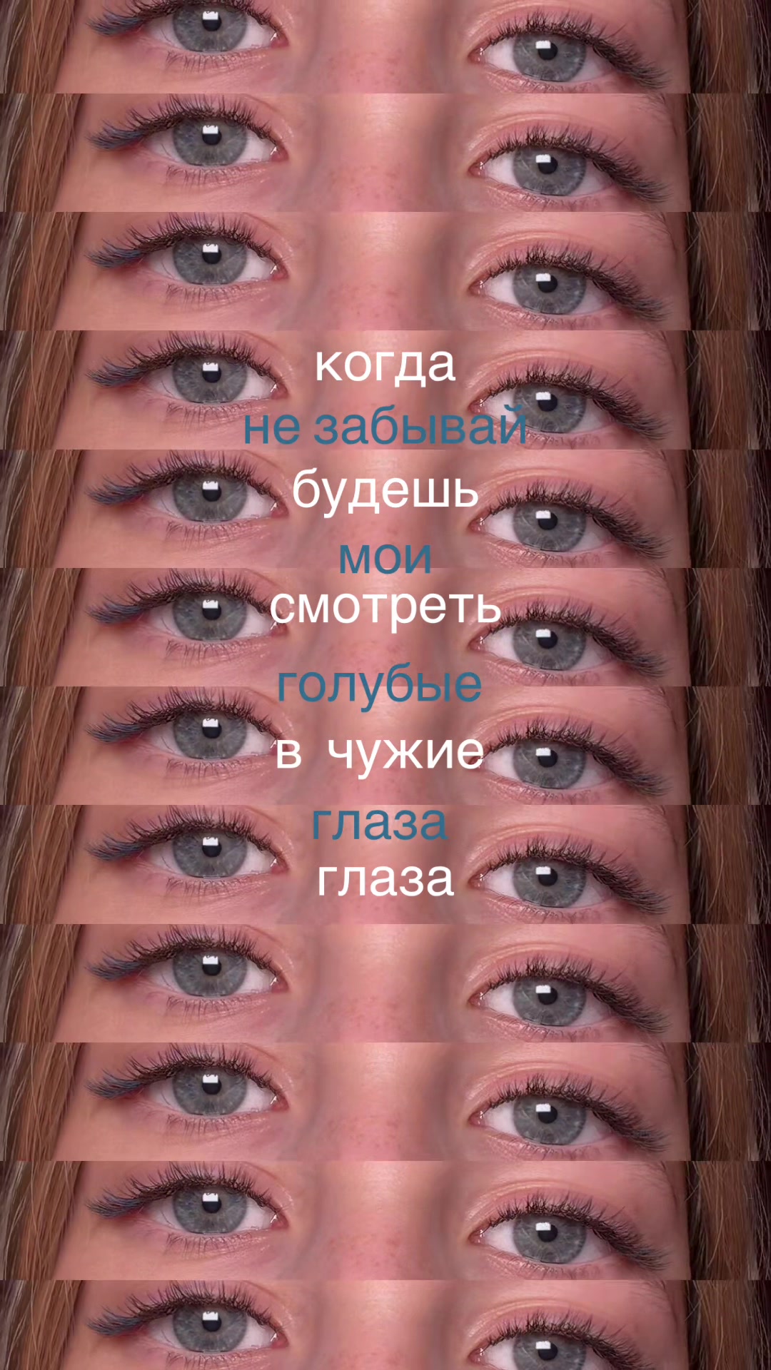@gityu_shaa
