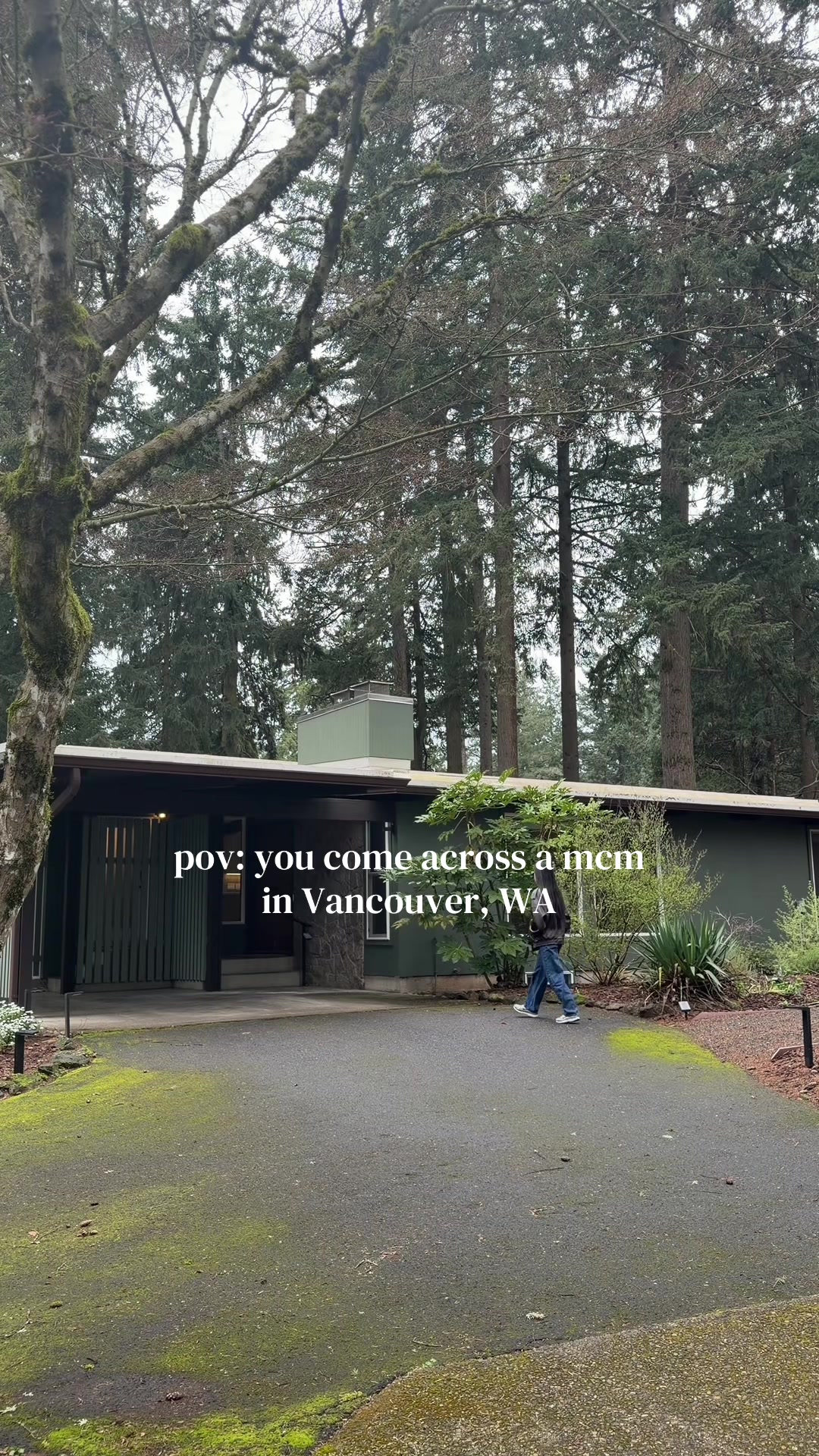 @shayla hoang