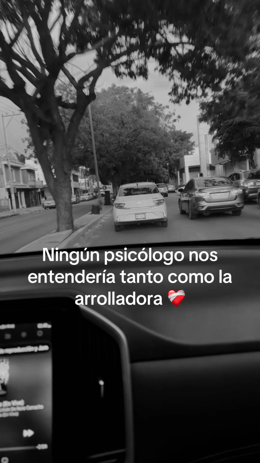 @Lauracorzo