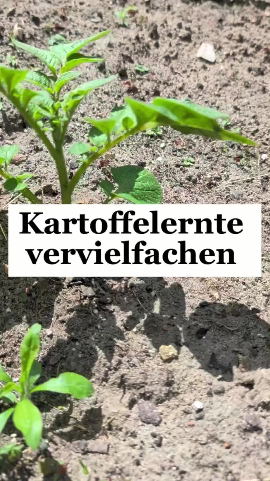 @ErnteExperte