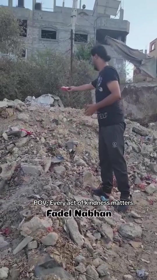 @Gaza Animal Rescue