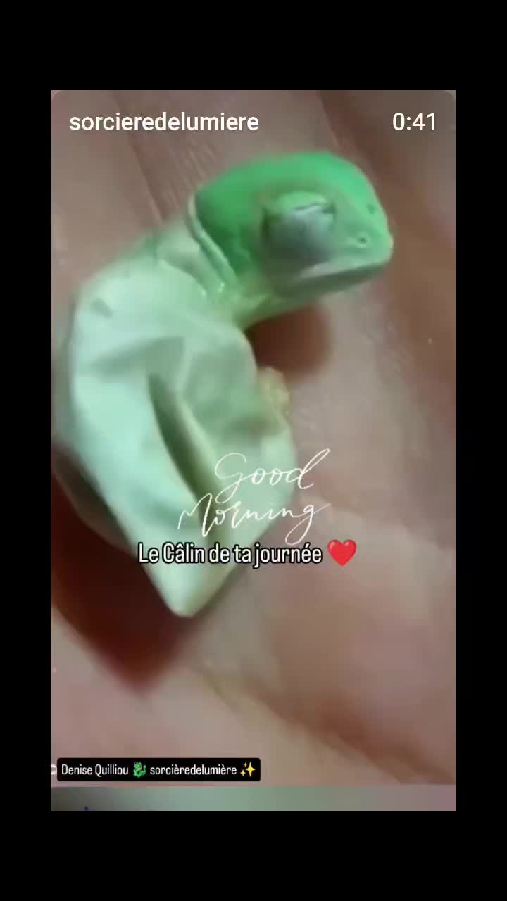 @Lauret Denise ✨🐉✨