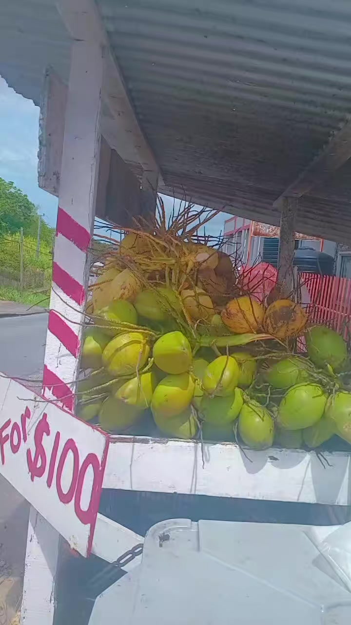 @Young Tiger Cold Coconuts🥥🌴