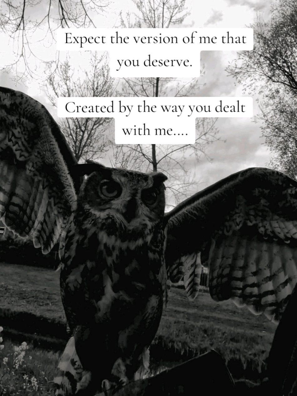 @Birddaddy🦜🦉🦅