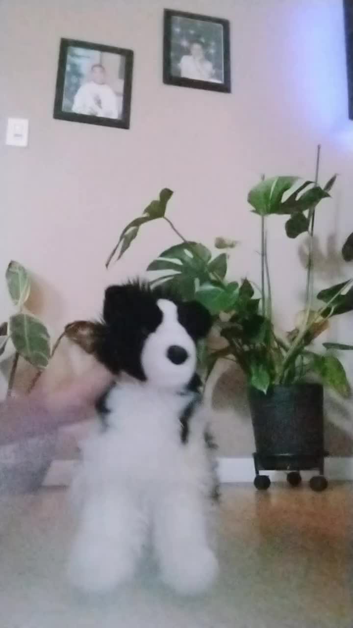 @ТГК @Jax_cat