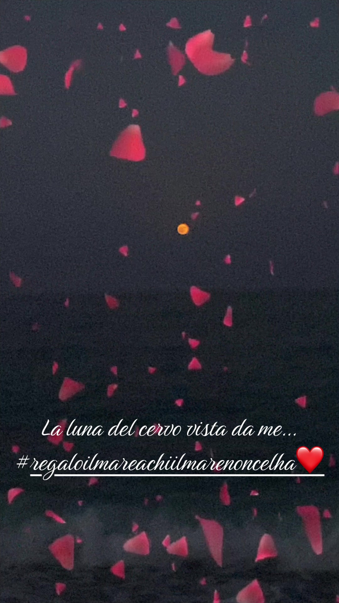 @⭐️MIA⭐️