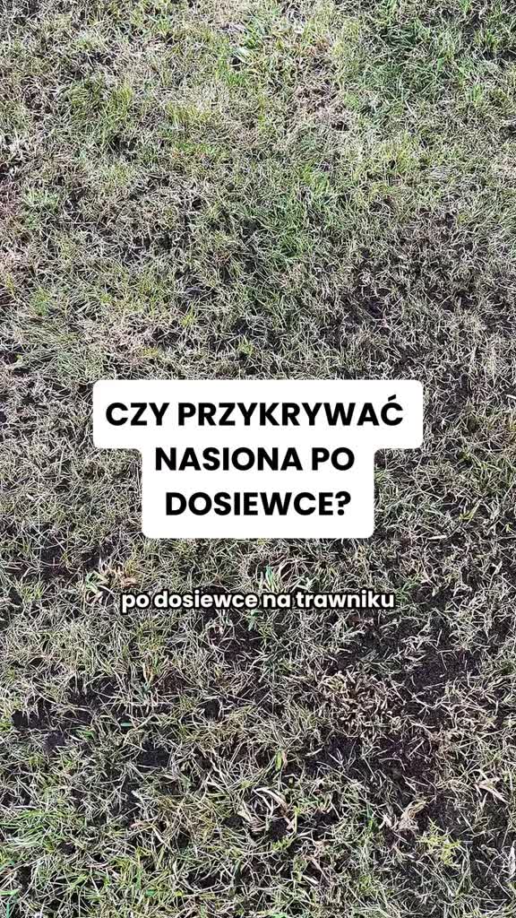 @Ogrodnik Doskonały