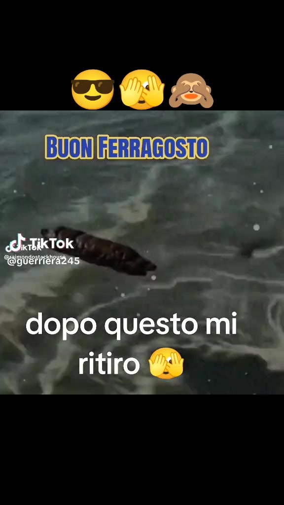 @il solitario