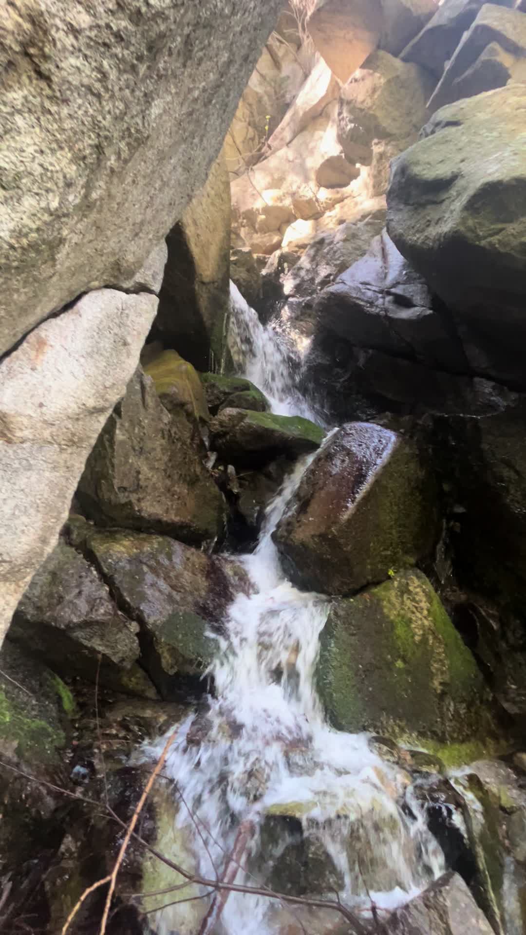 @Wild Fowler 🏔️🥾⛰️