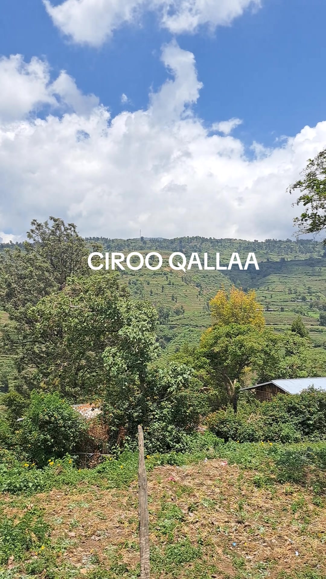 @CIROO TUBE