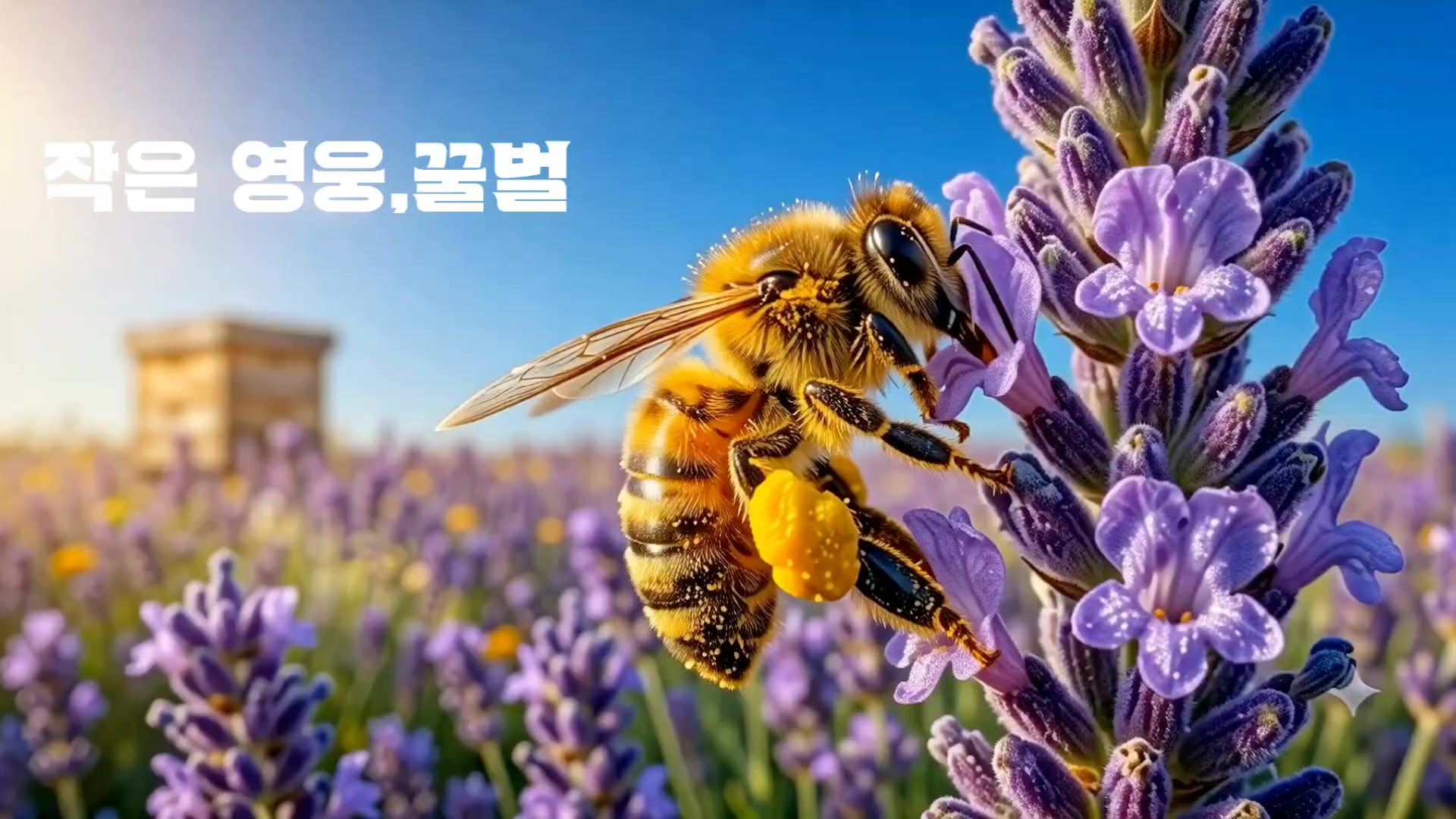 @🇰🇷부지런한 농부 오정순
