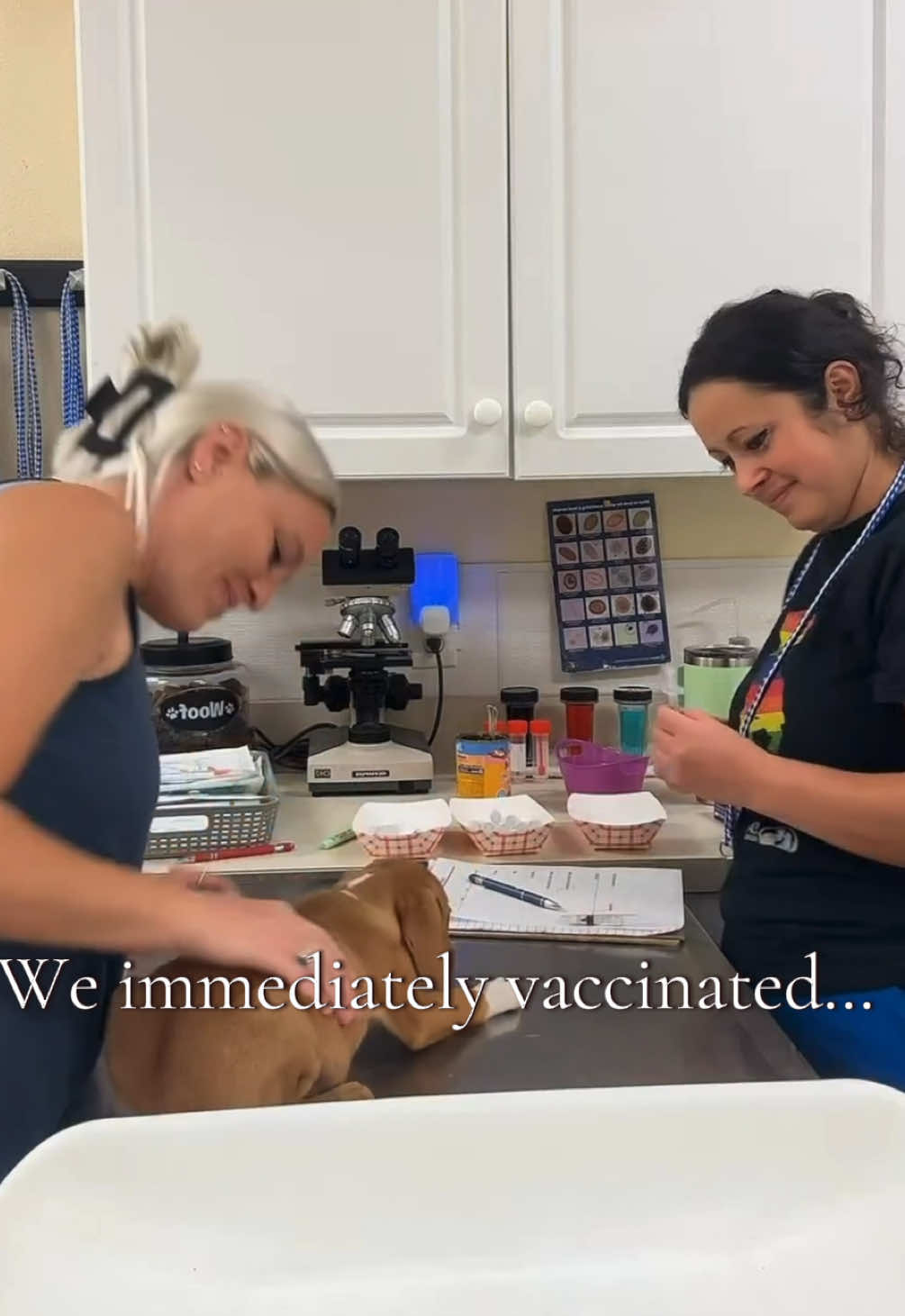 @2vettechs