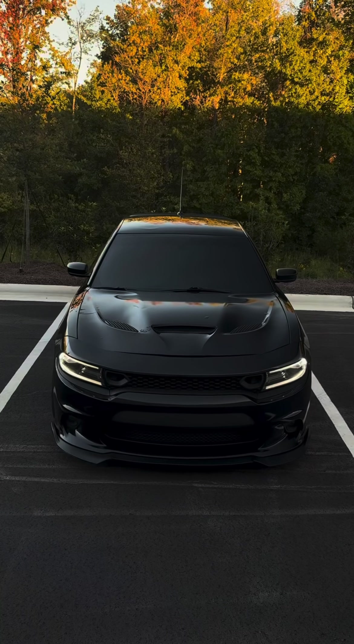 @vperformance