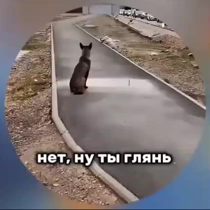 @KRAIZI