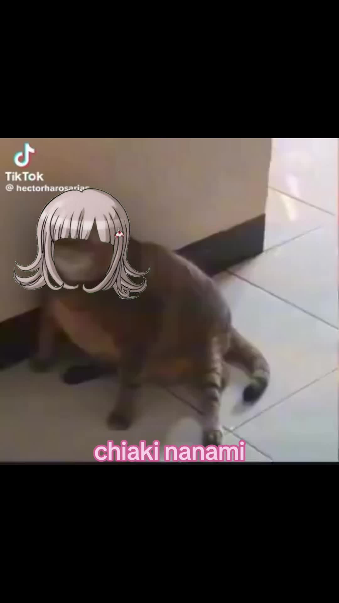 @∑(°口°๑)