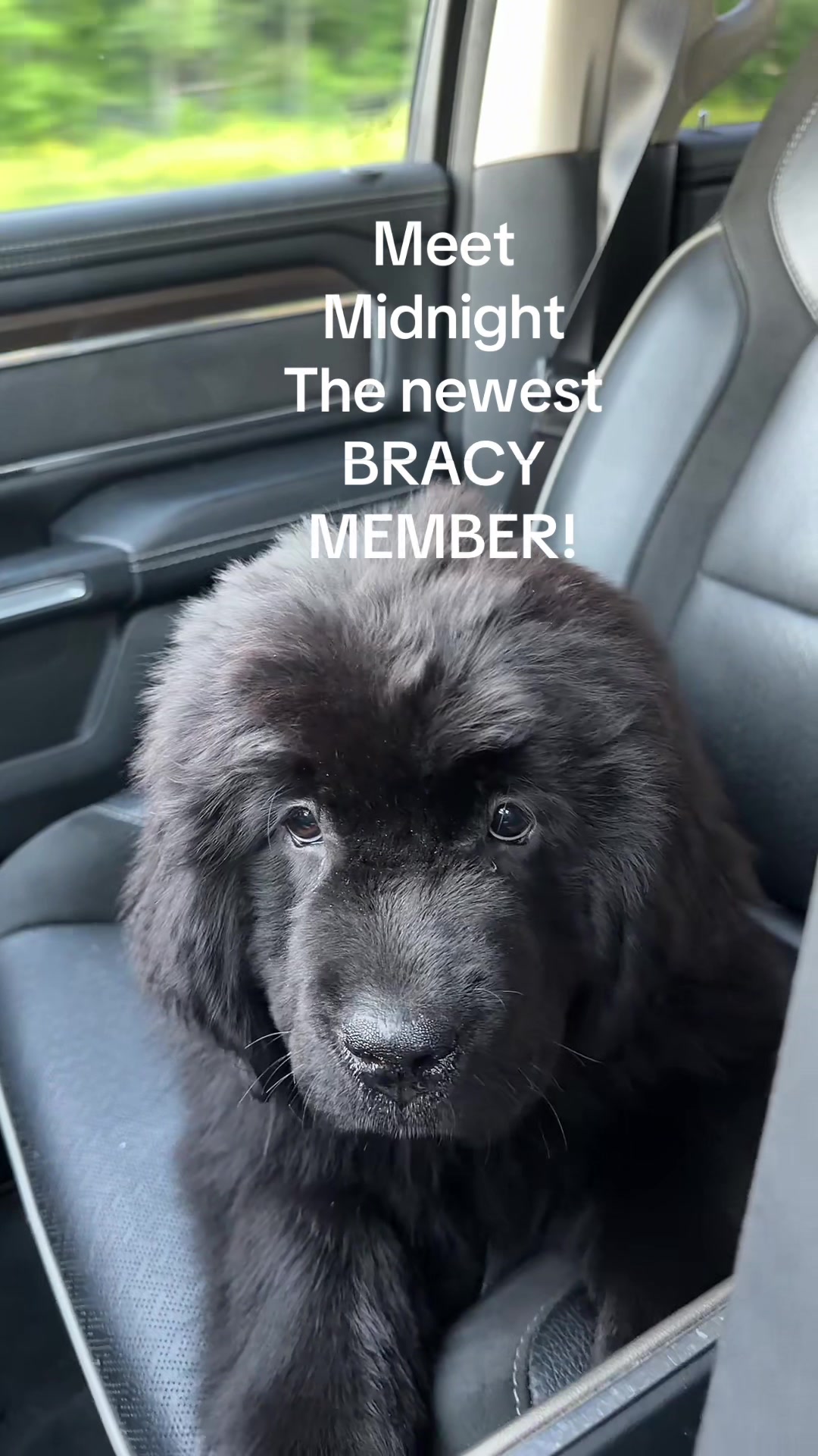 @Bracyfam80