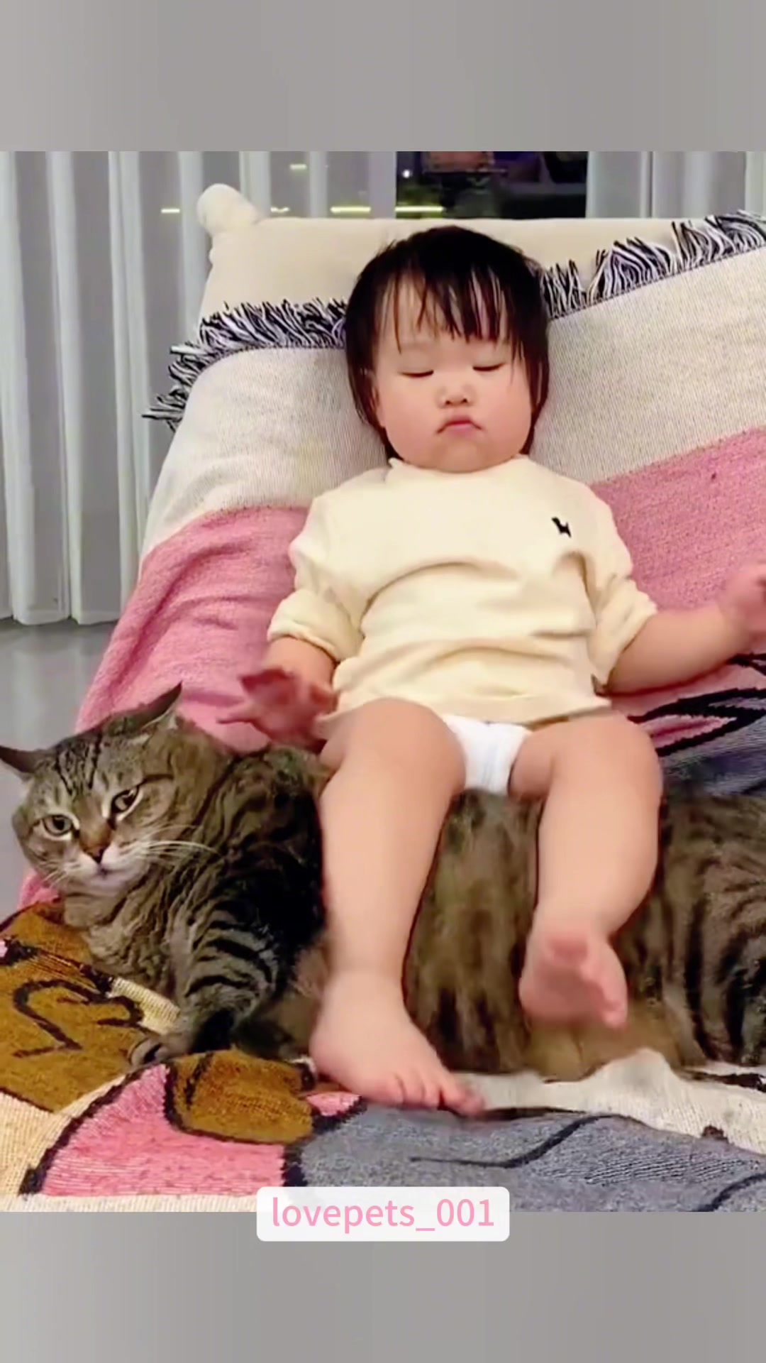 @lovepets_001