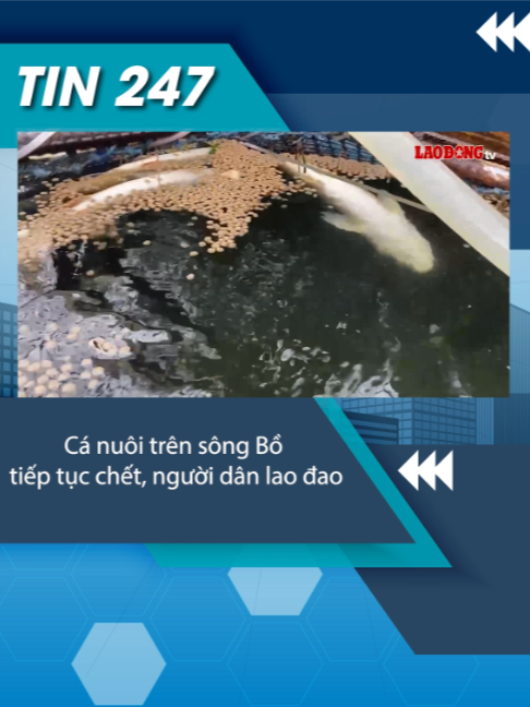 @Tin tức 24/7
