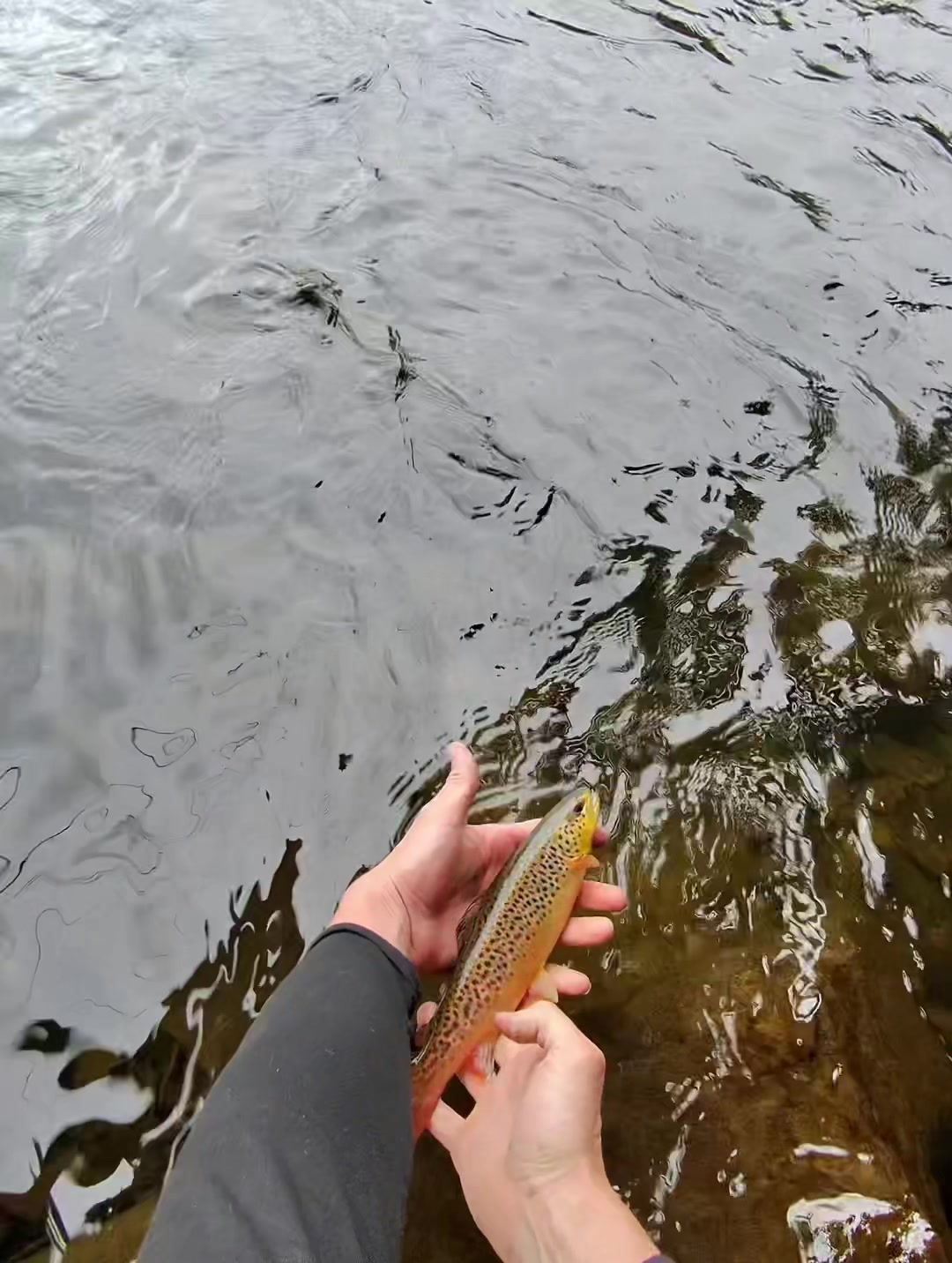 @PickleFishin