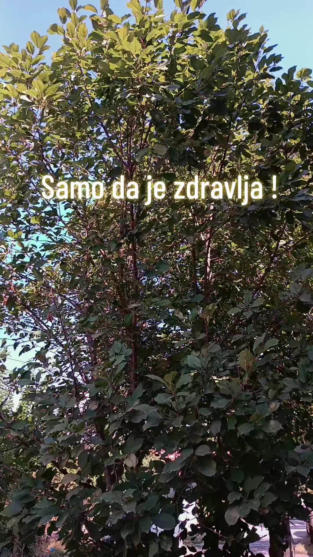 @БРАНИСЛАВ