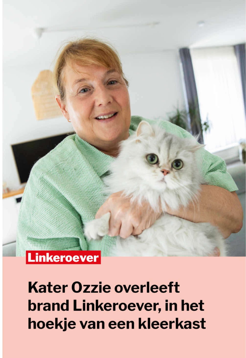 @Gazet van Antwerpen