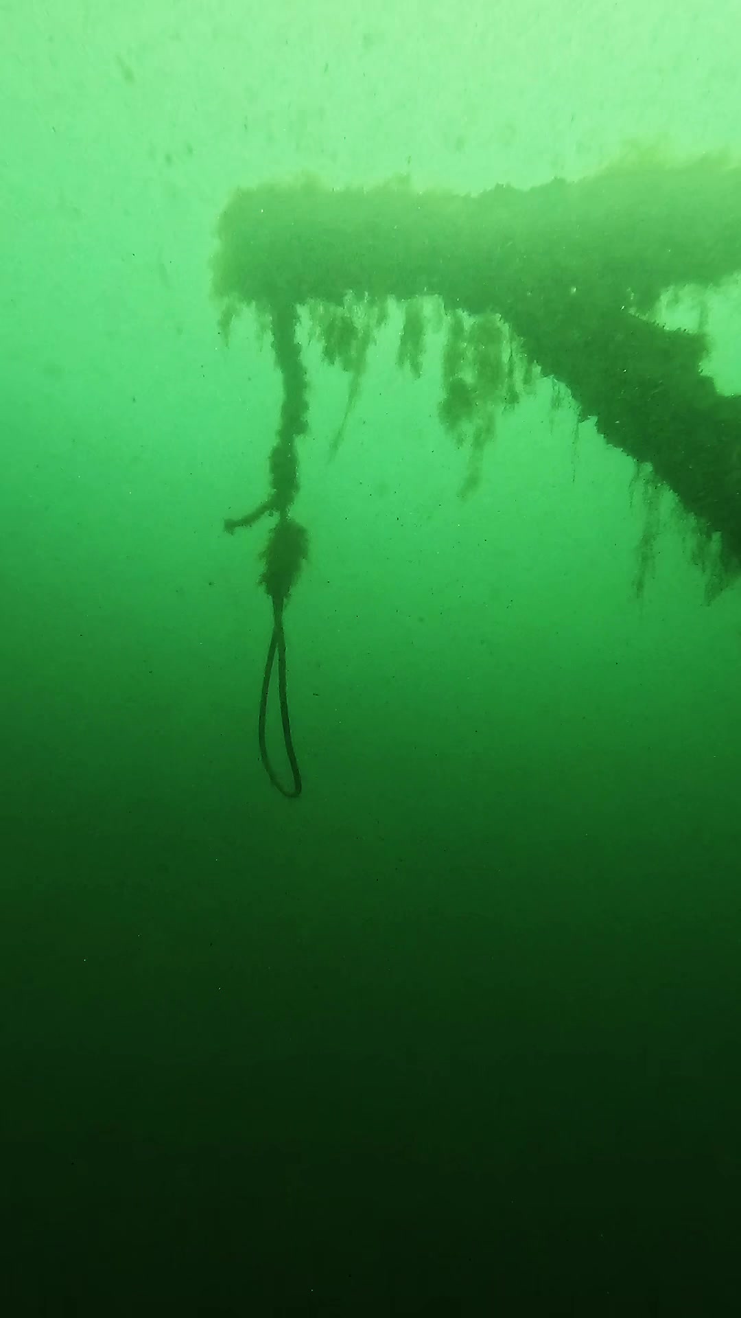 @DIVE