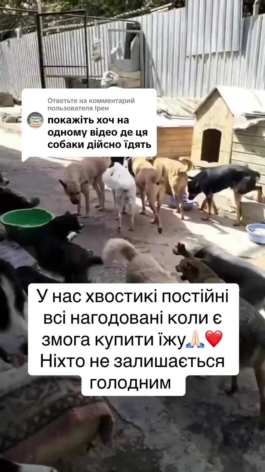 @kvitochki222