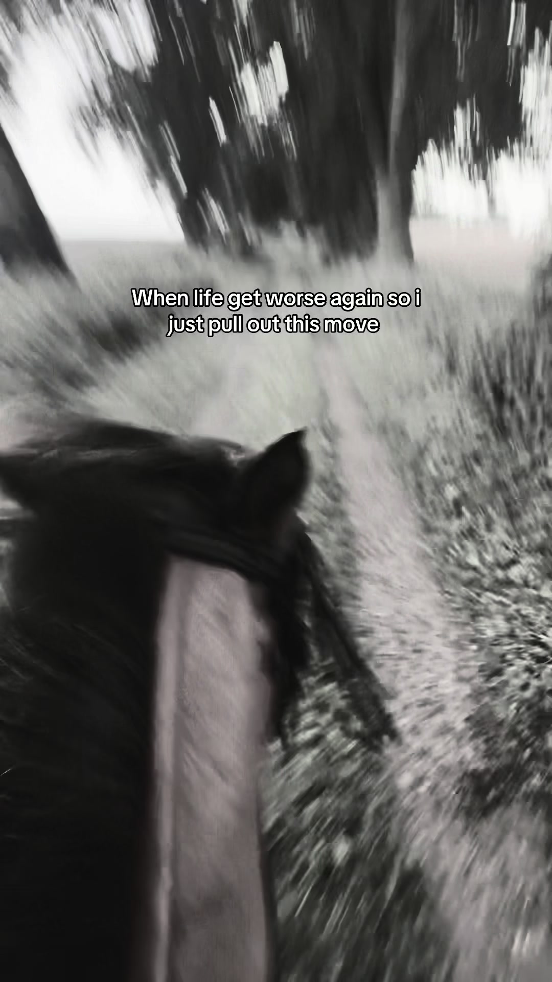 @𝖬𝖺𝗒𝖺 ❦