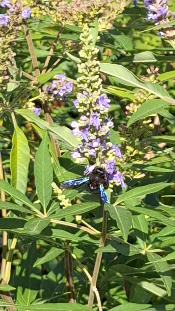 @Natur und Garten