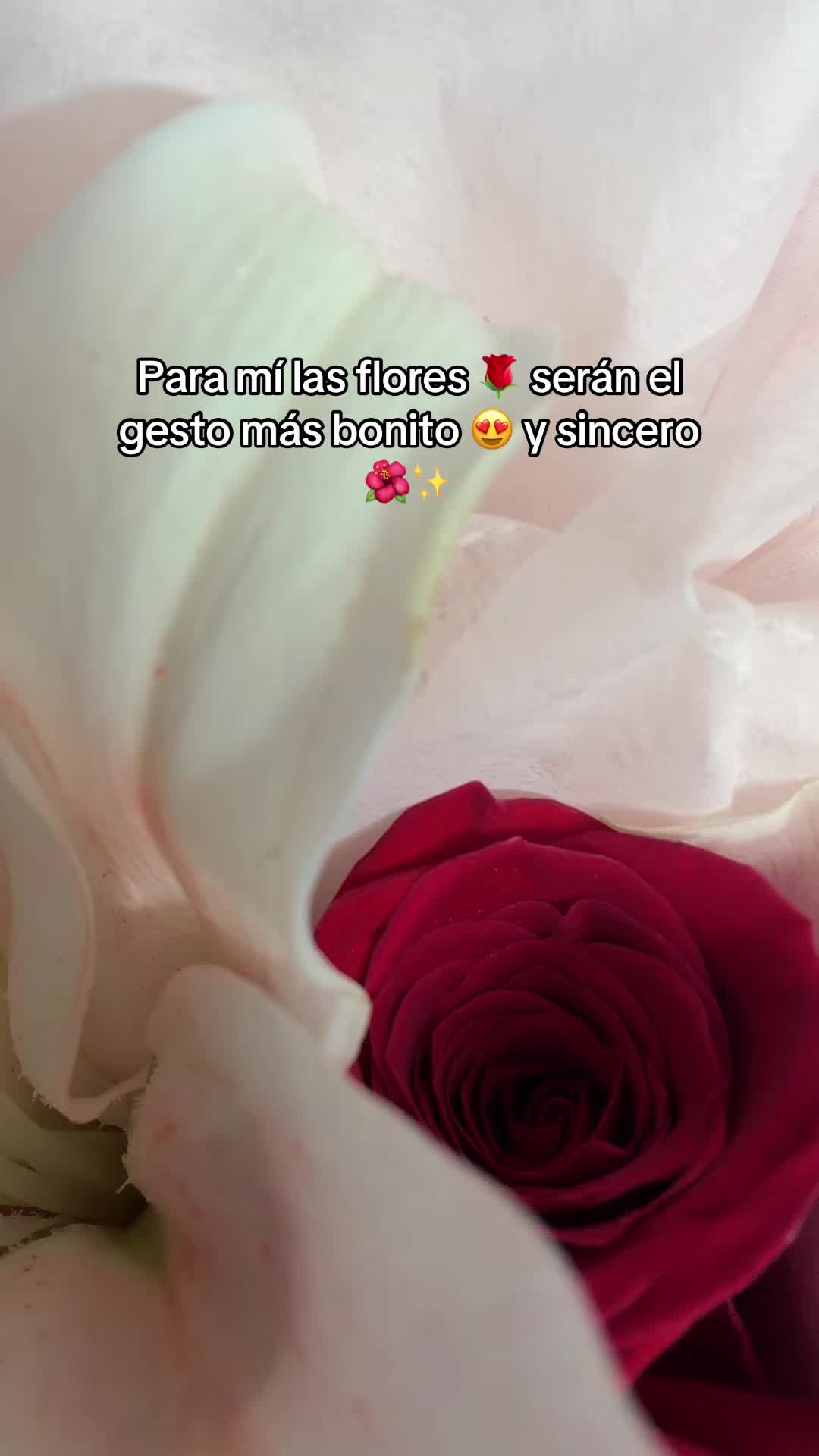 @Dulceloredo23