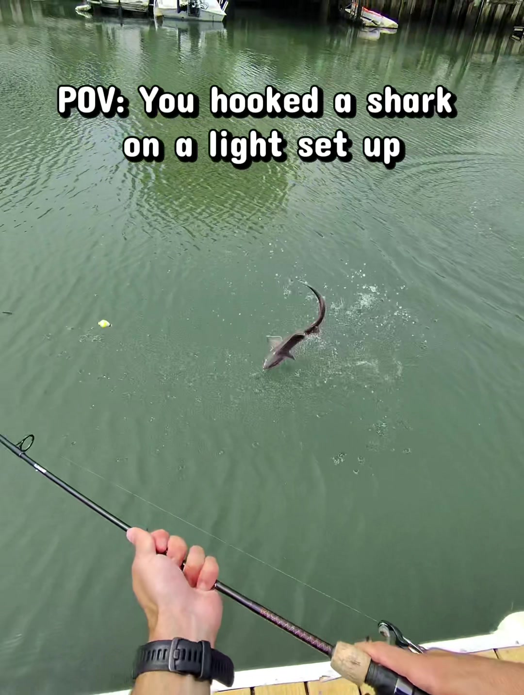 @B. A. Fishing