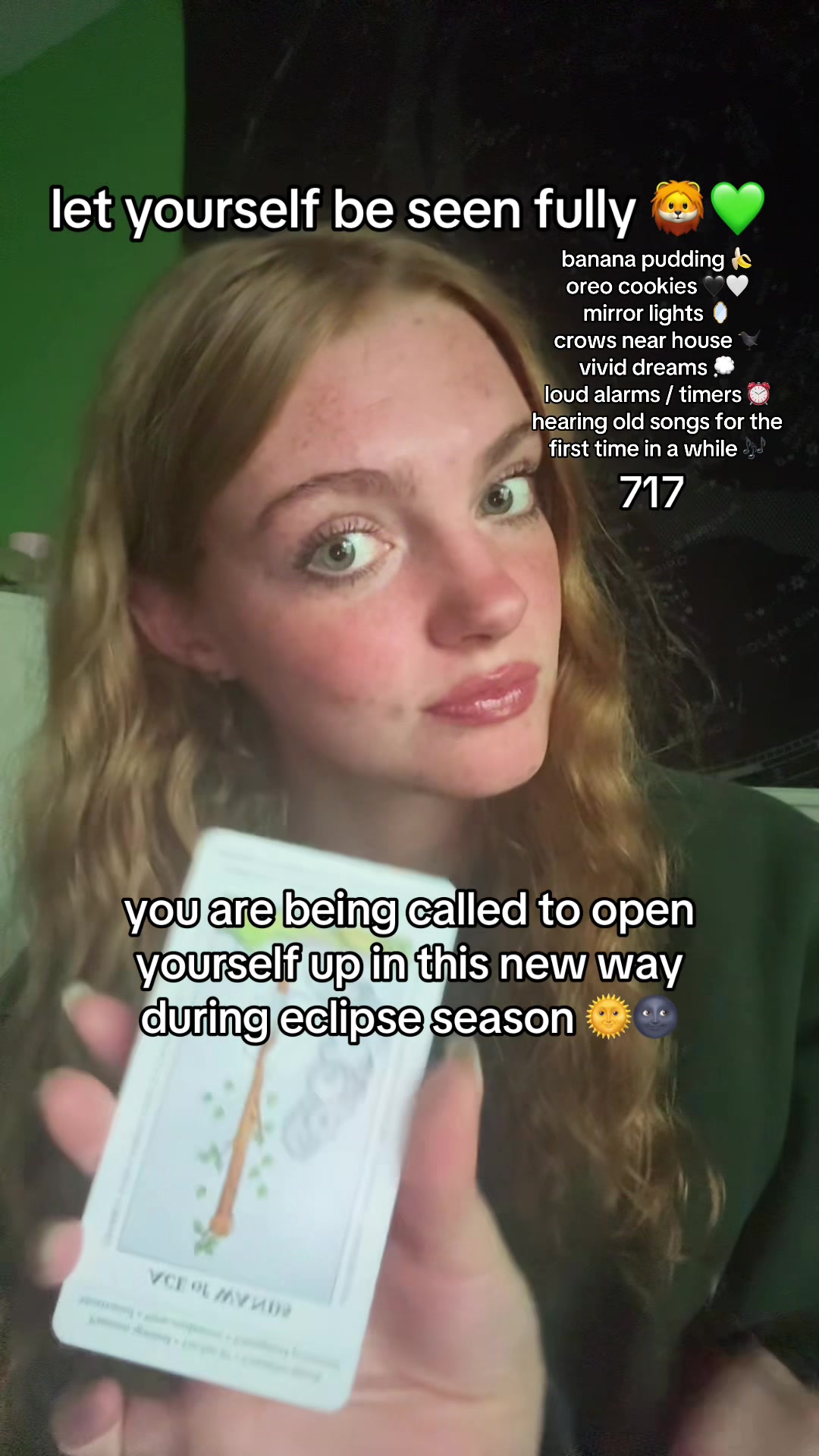 @heidi 🦊🐉🧚⋆⭒˚.⋆