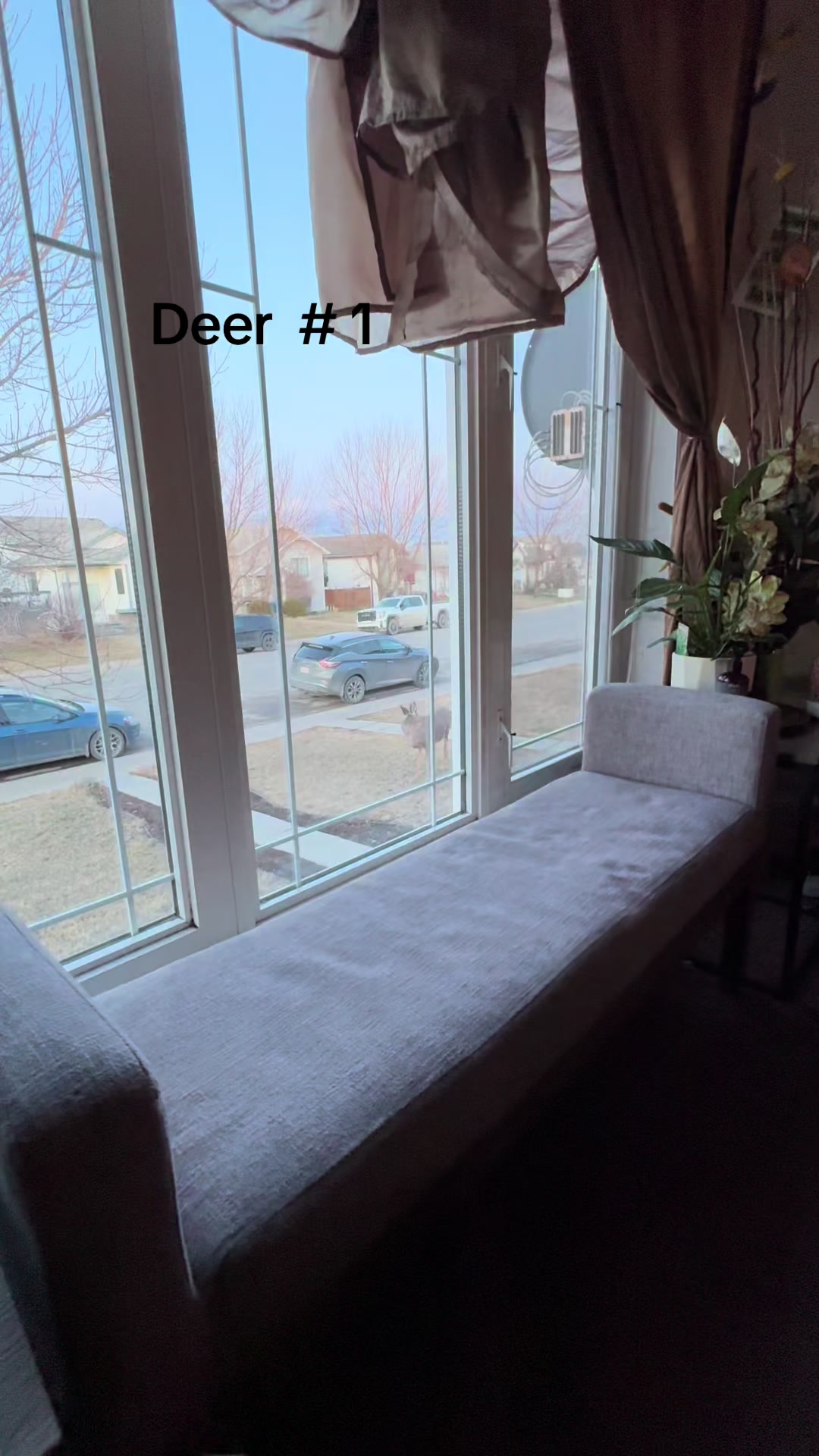 @Maricris in Alberta