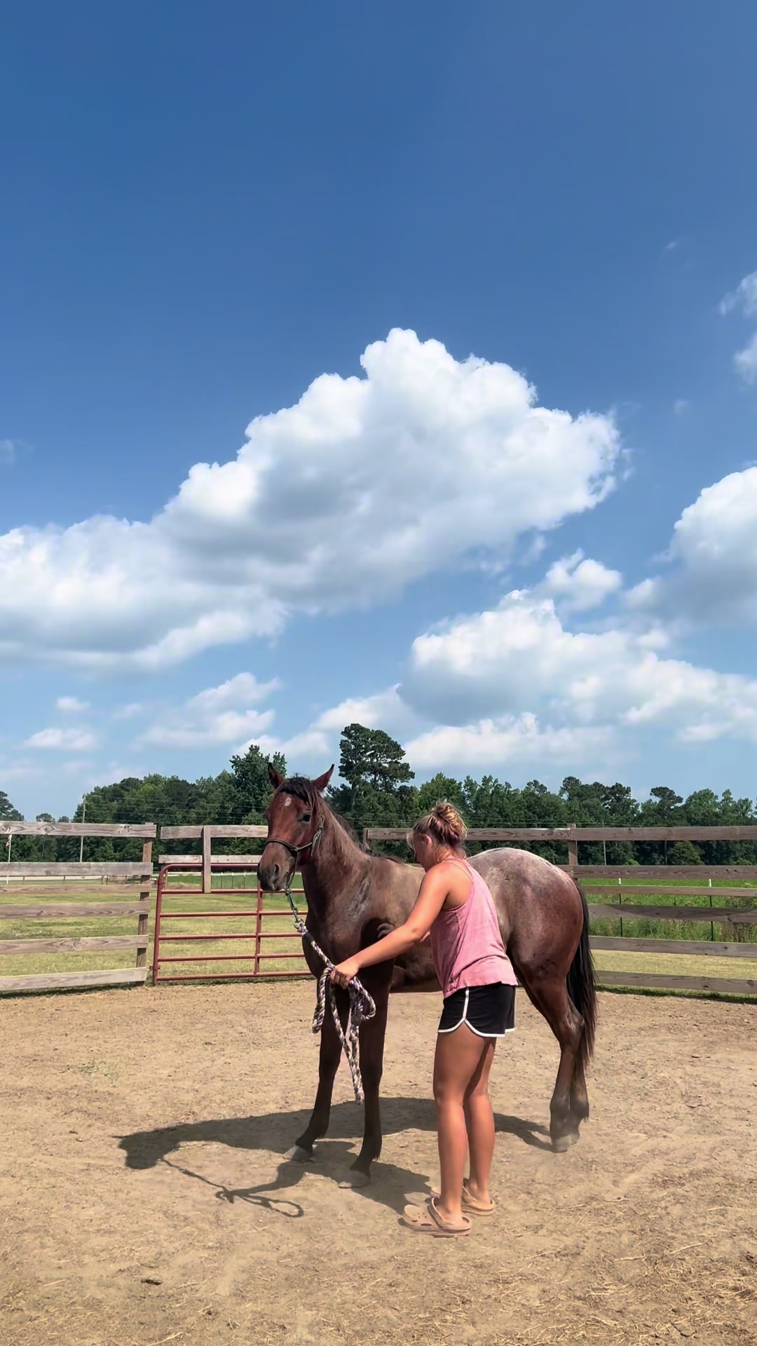 @Peppermint Pines Farm