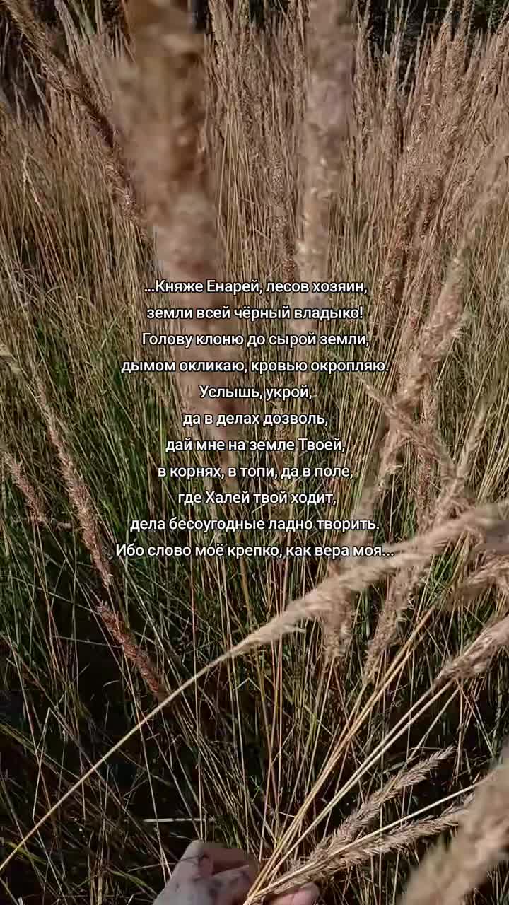 @Ржавый гроб ⚰️