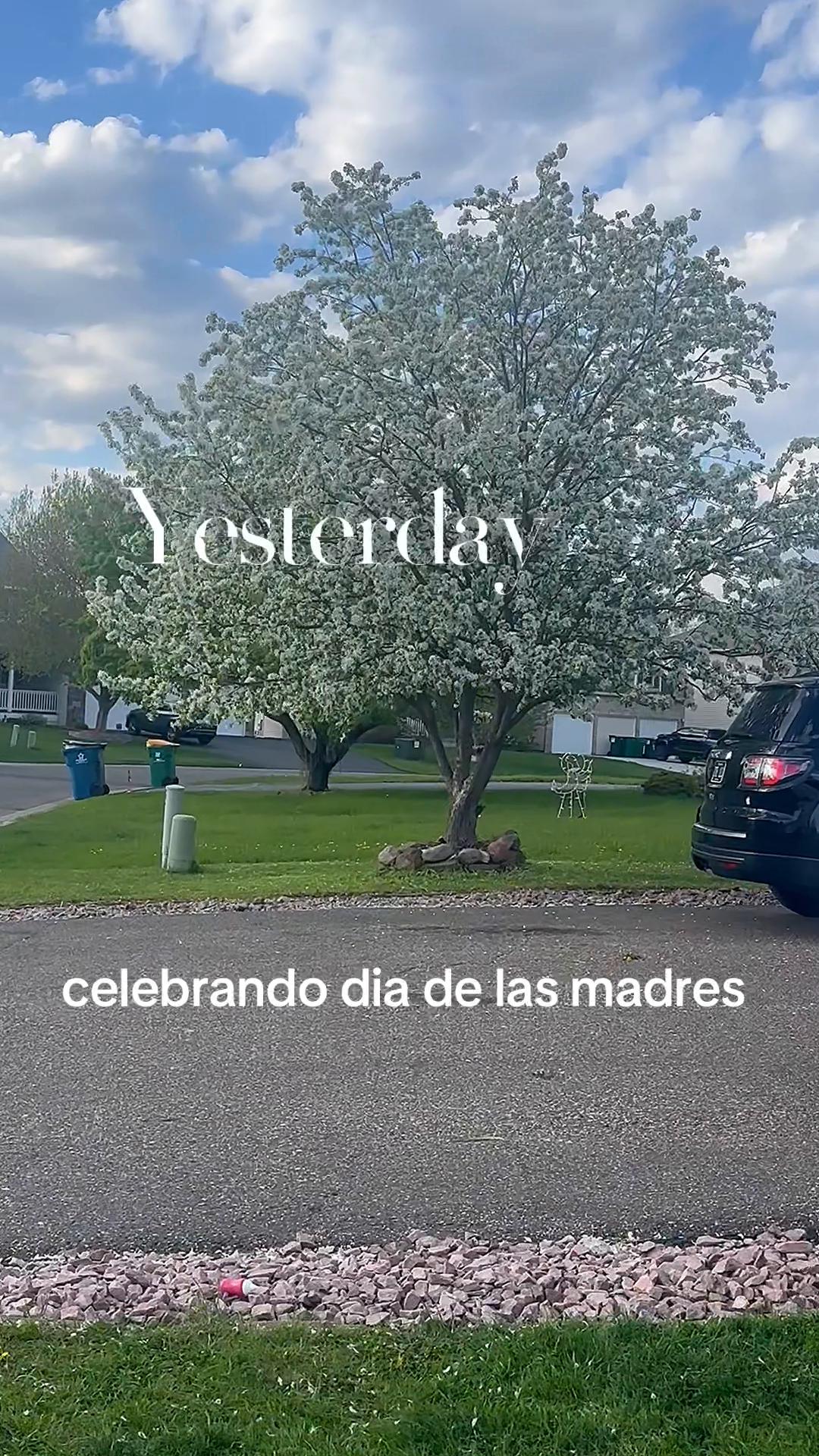 @Diana Sibri
