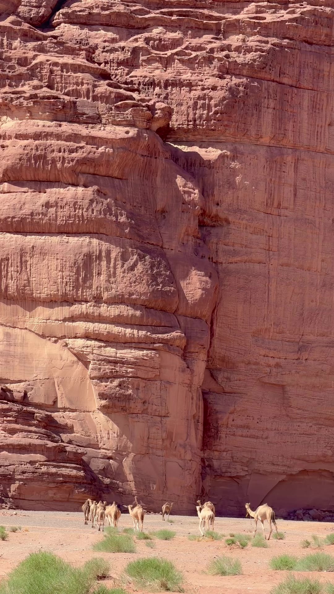 @ابومشعل