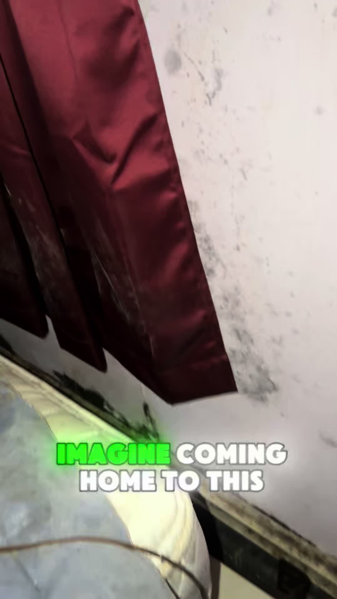 @Long Island Mold Guy