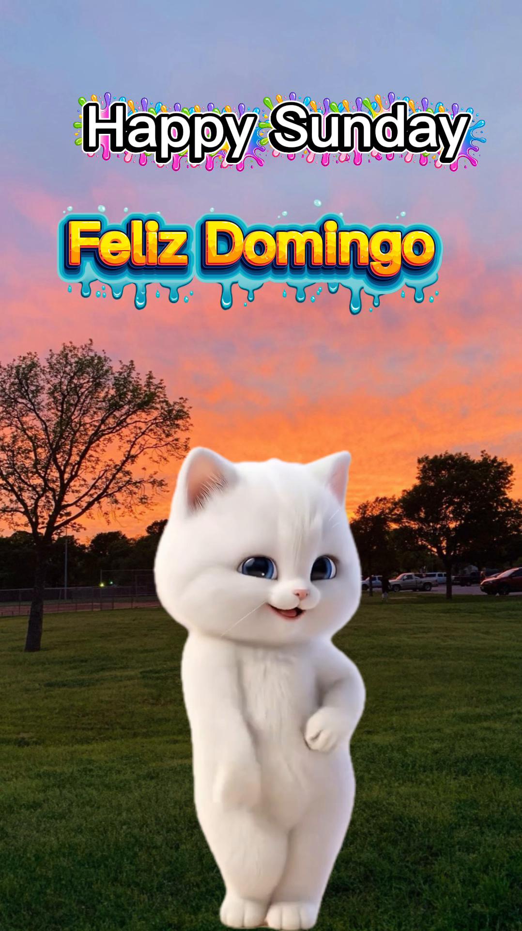 @La Gringa Mas Mexicana❤️❤️