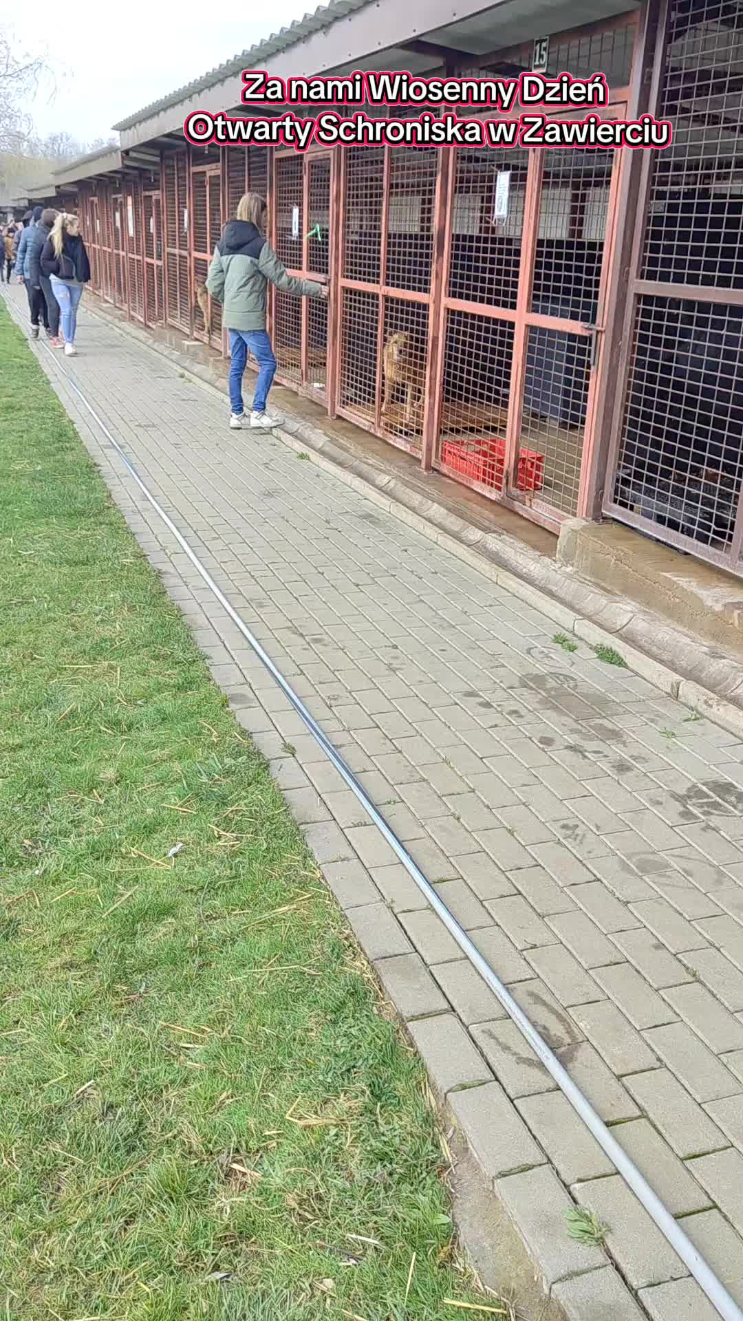 @Bezdomniaki_ze_śląska