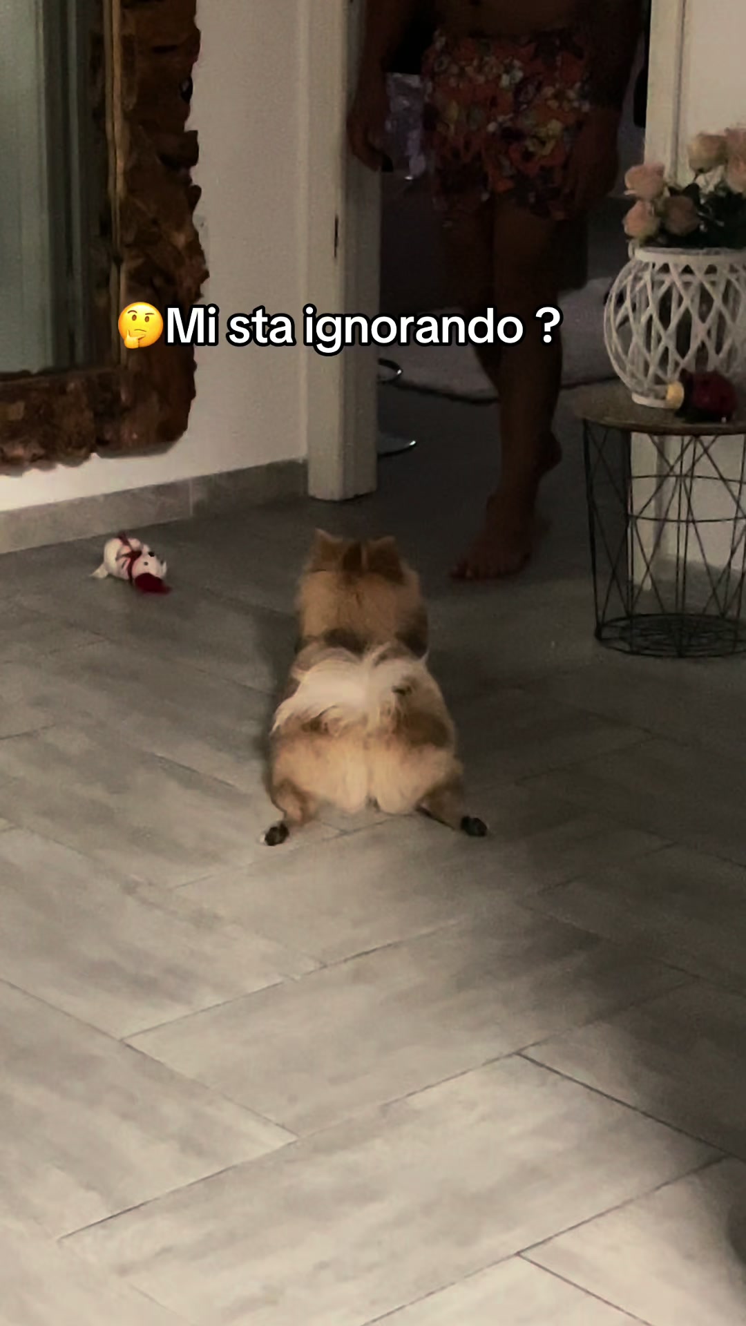 @Denis teresa toska