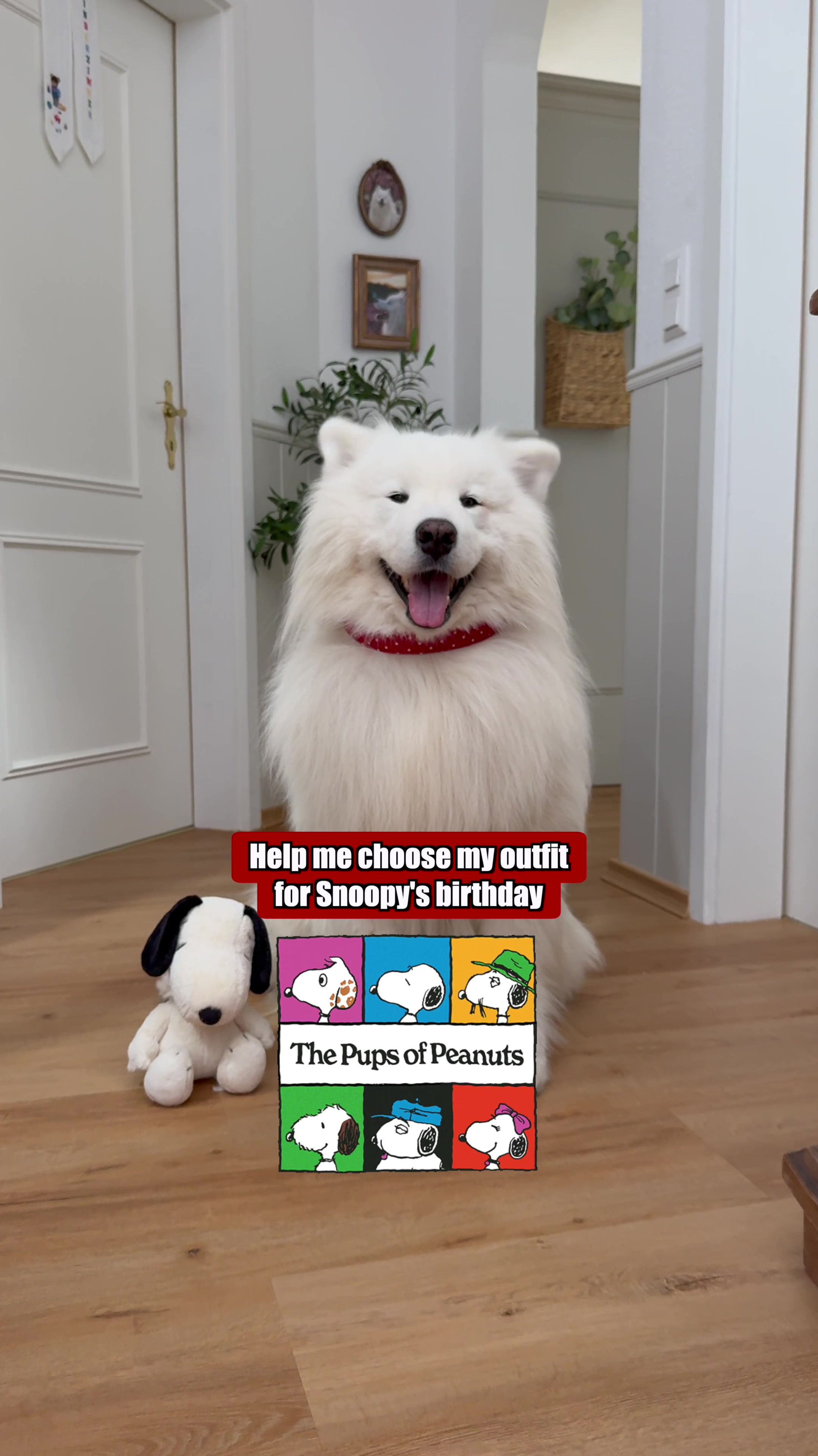 @wanderlust_samoyed