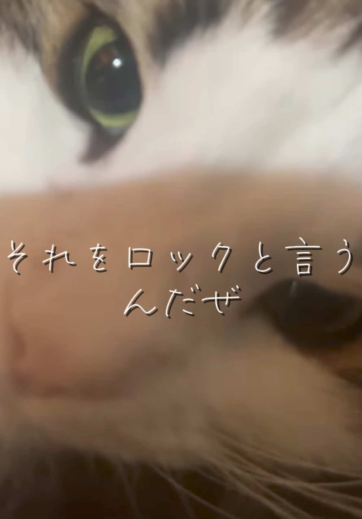 @マサマネ UNOFFICIAL - 非公式ものまね芸人