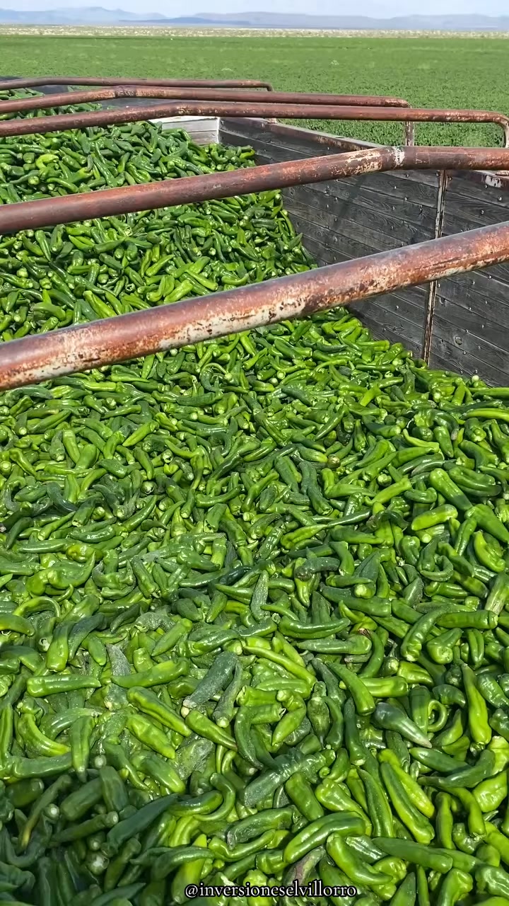 @inversioneselvillorro