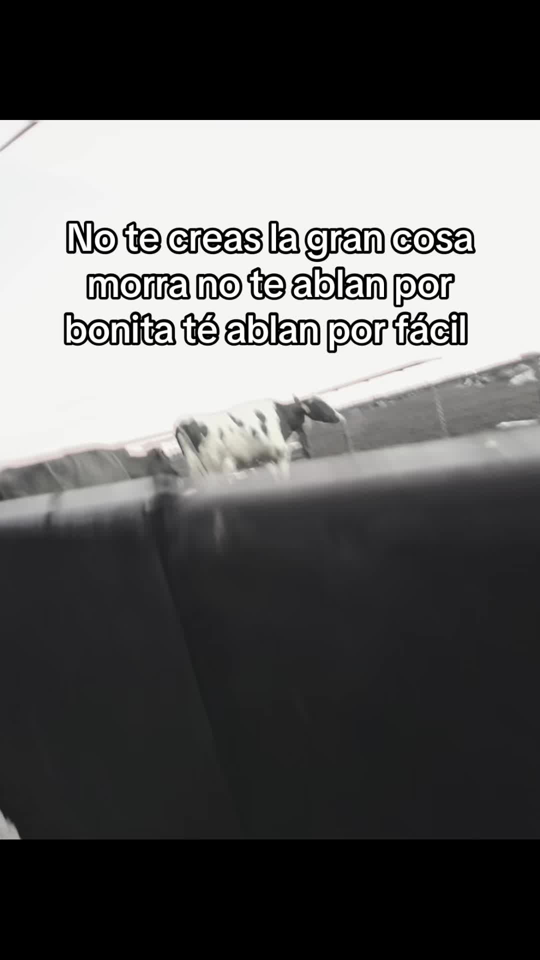 @GÁNSTER 🎭🪫👹
