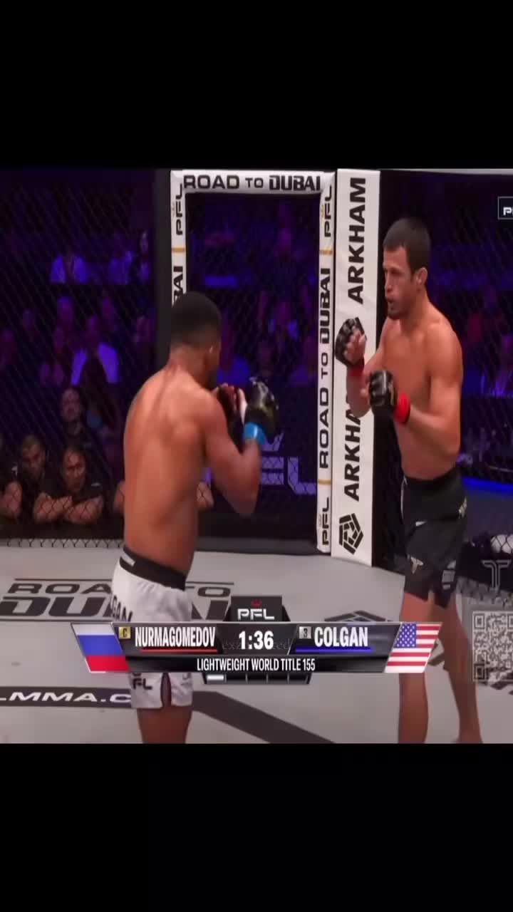@everydaymma