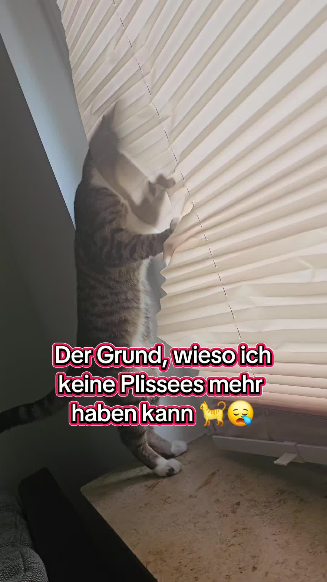 @Ludwig