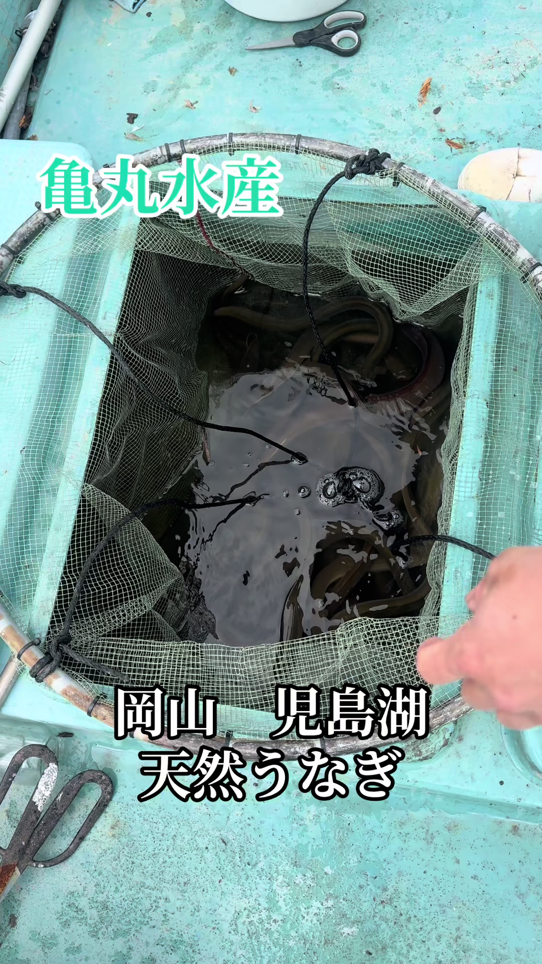 @亀丸水産社長🐢