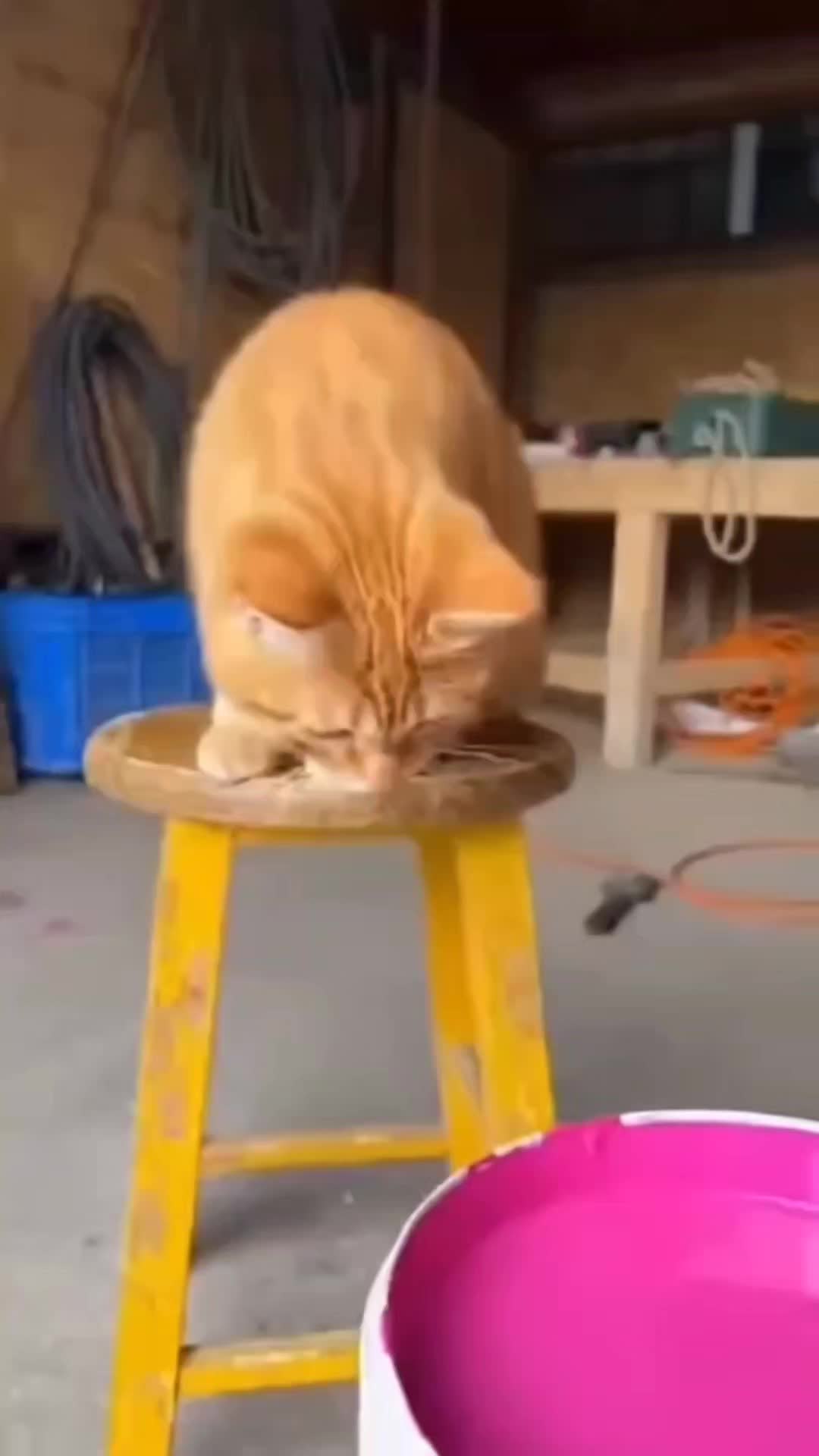 @هذه