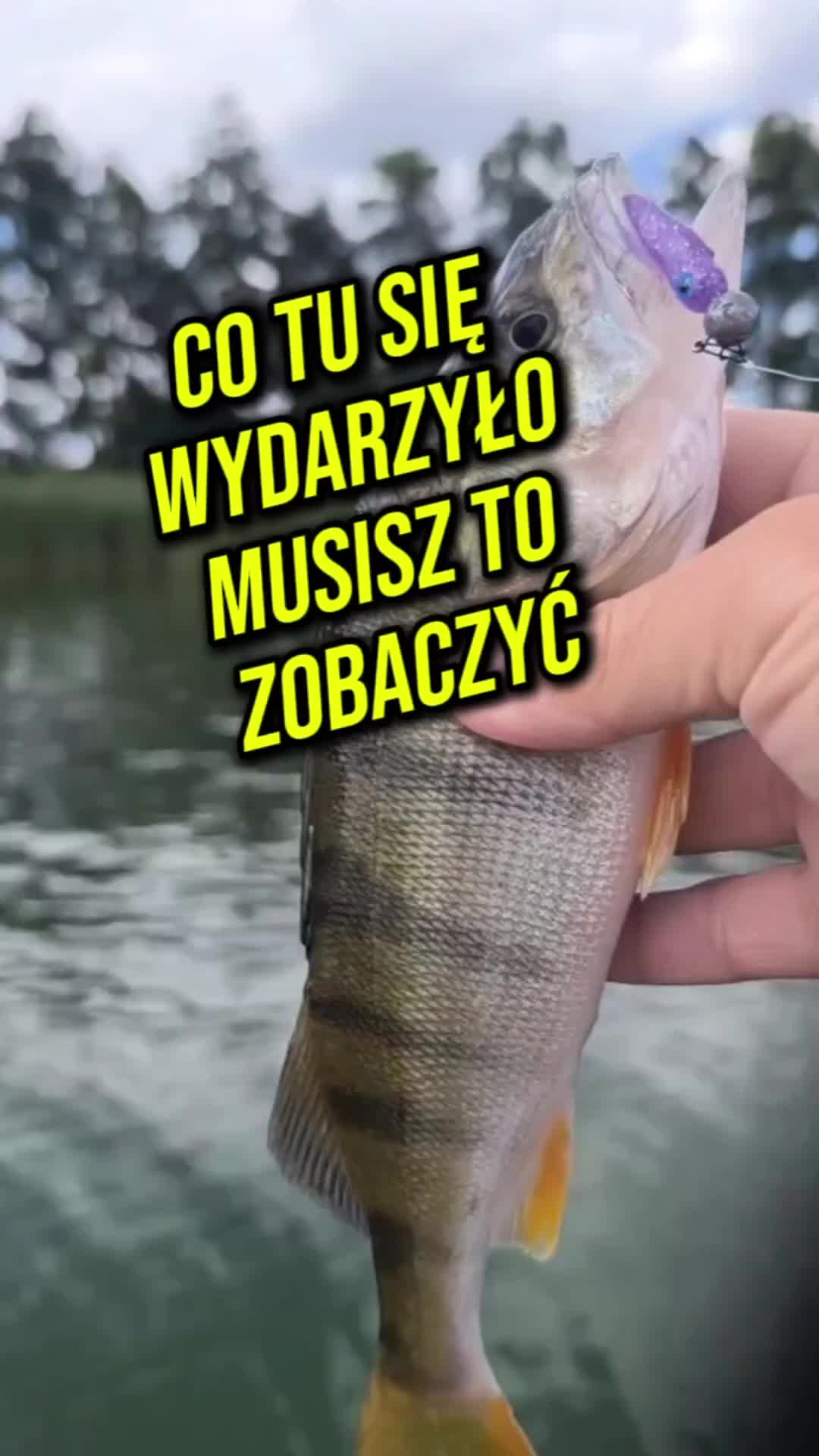 @Niezatapialnifishingteam